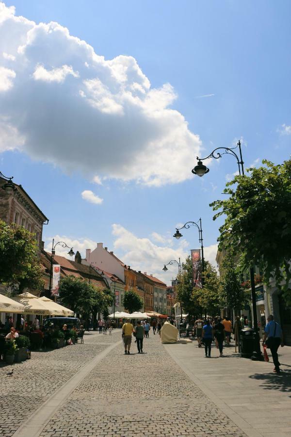 Corso Comfort Apartments Sibiu Eksteriør bilde
